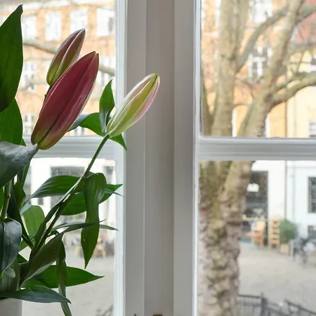 Appartement Beautiful In The Center Of